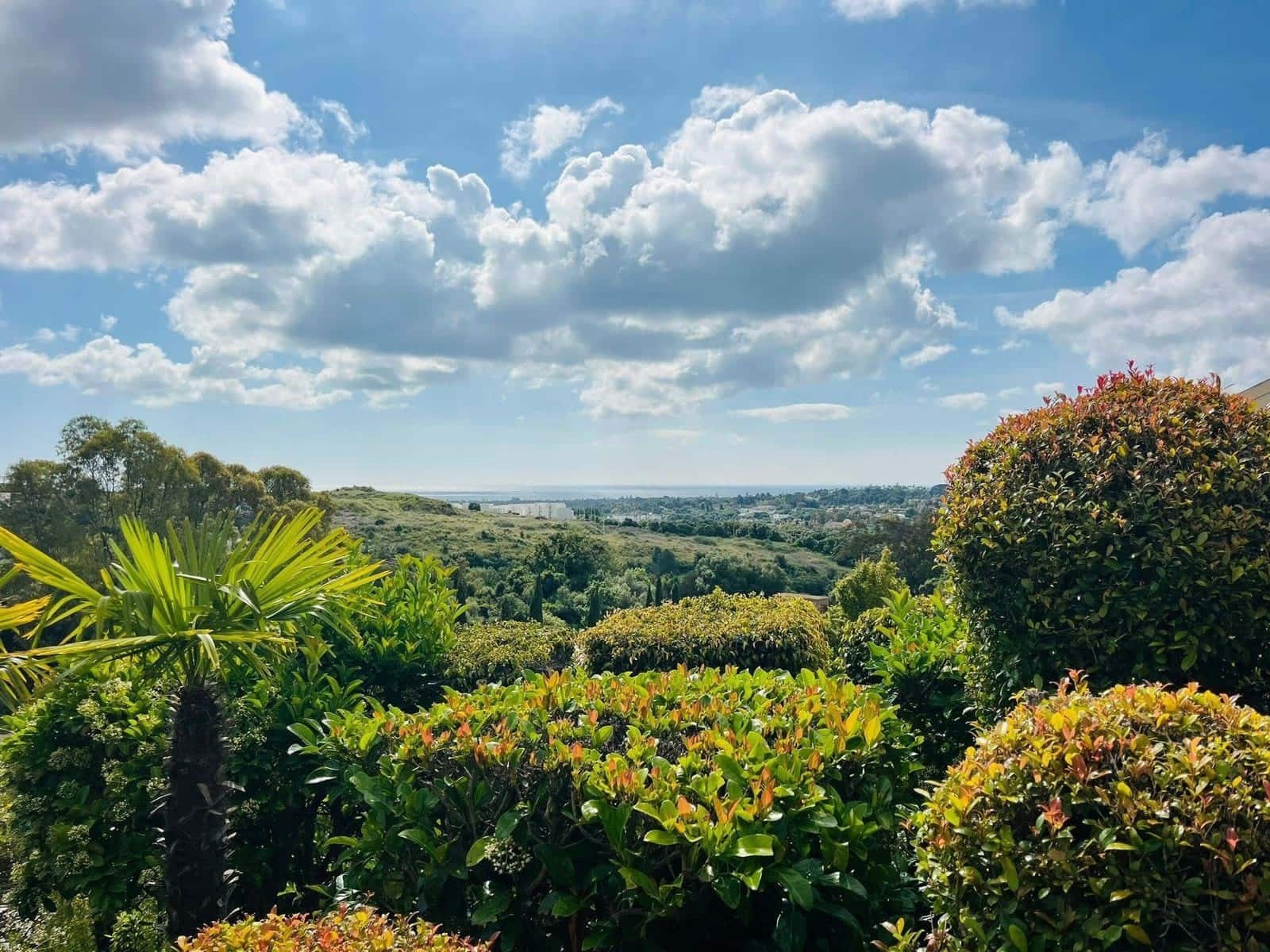 3 soverom Villa til salgs i Cadiz by med svømmebasseng garasje - € 695 000 (Ref: 9143727)