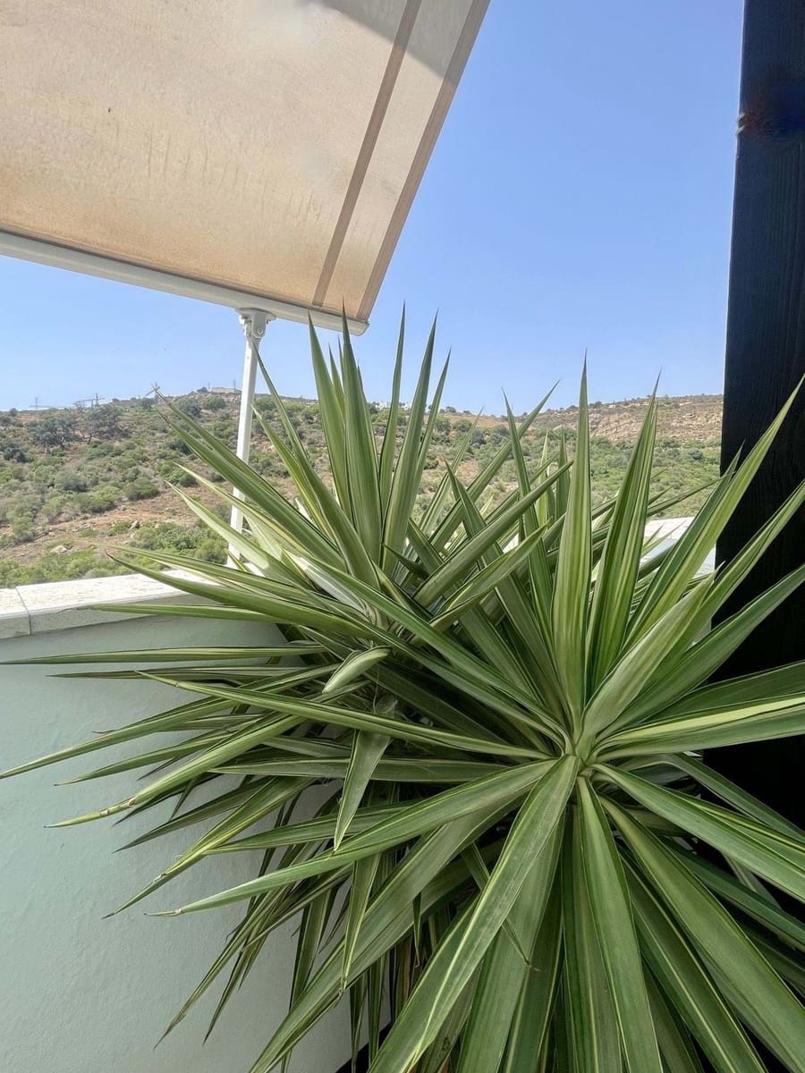 2 quarto Apartamento para venda em Manilva com piscina garagem - 298 000 € (Ref: 9195250)