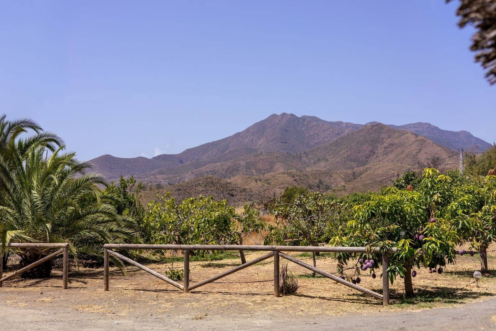 3 chambre Villa/Maison à vendre à Mijas avec piscine garage - 1 450 000 € (Ref: 9207809)