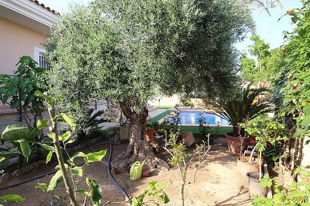 5 chambre Villa/Maison à vendre à Elche / Elx avec piscine - 690 000 € (Ref: 9030182)