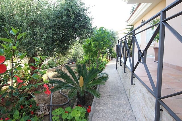 5 chambre Villa/Maison à vendre à Elche / Elx avec piscine - 690 000 € (Ref: 9030182)