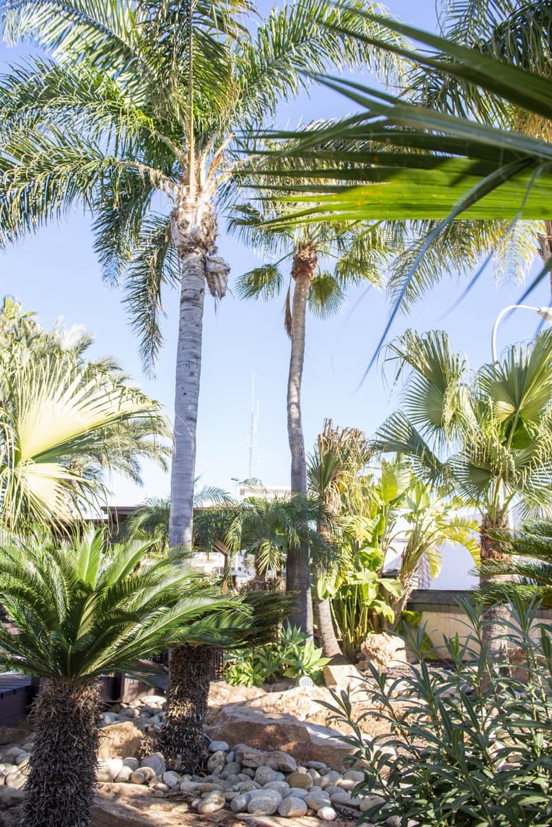 5 soveværelse Villa til salg i San Pedro del Pinatar - € 1.500.000 (Ref: 9466832)