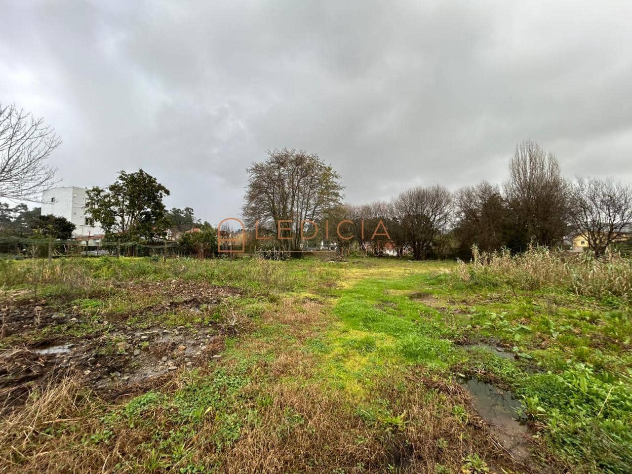 Terreno/Finca Rústica en Vigo en venta - 800.000 € (Ref: 9801376)