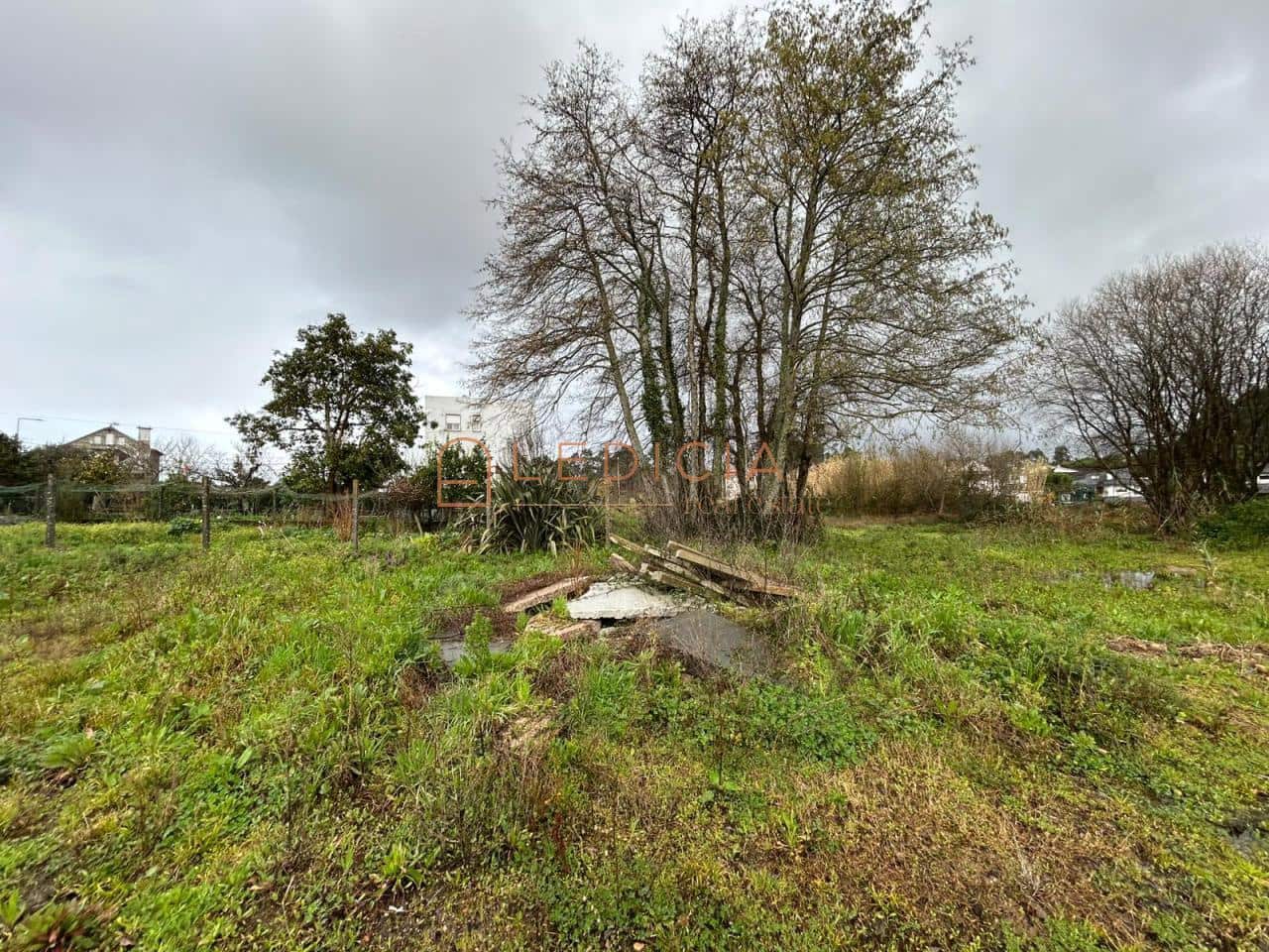 Terreno/Finca Rústica en Vigo en venta - 800.000 € (Ref: 9801376)