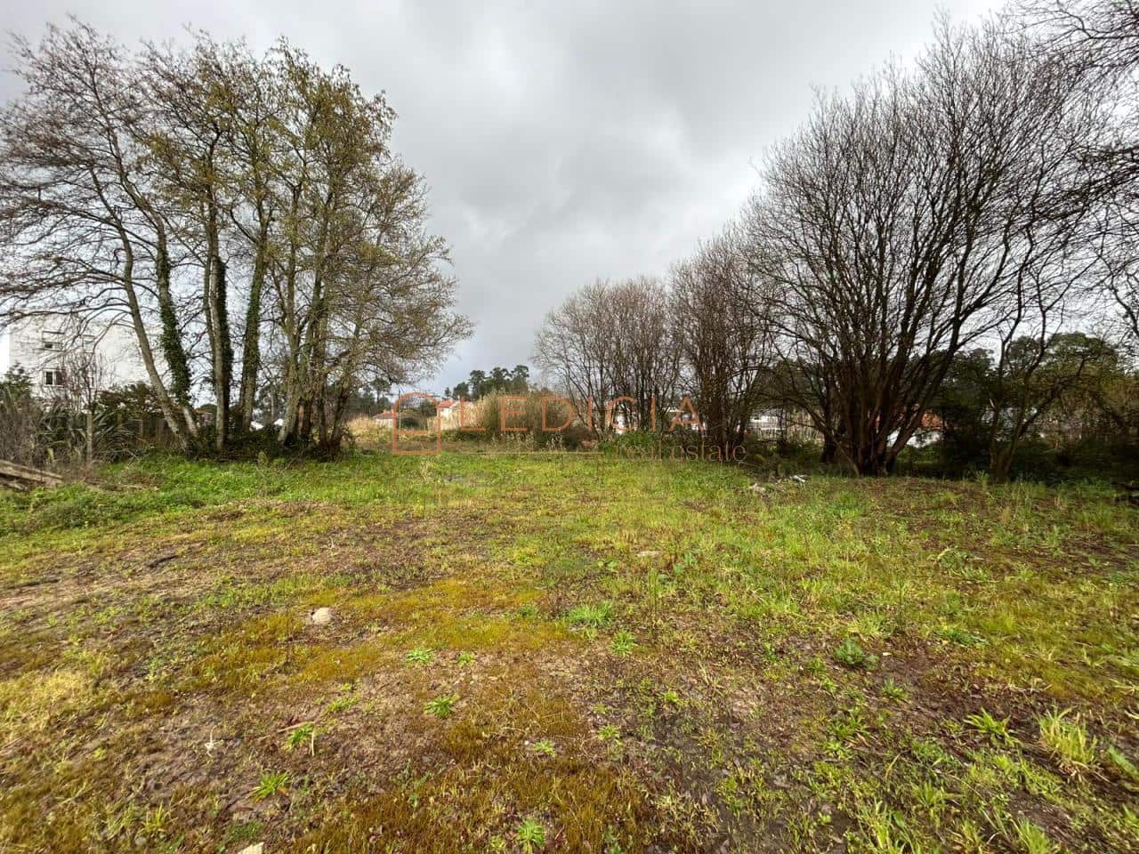 Terreno/Finca Rústica en Vigo en venta - 800.000 € (Ref: 9801376)