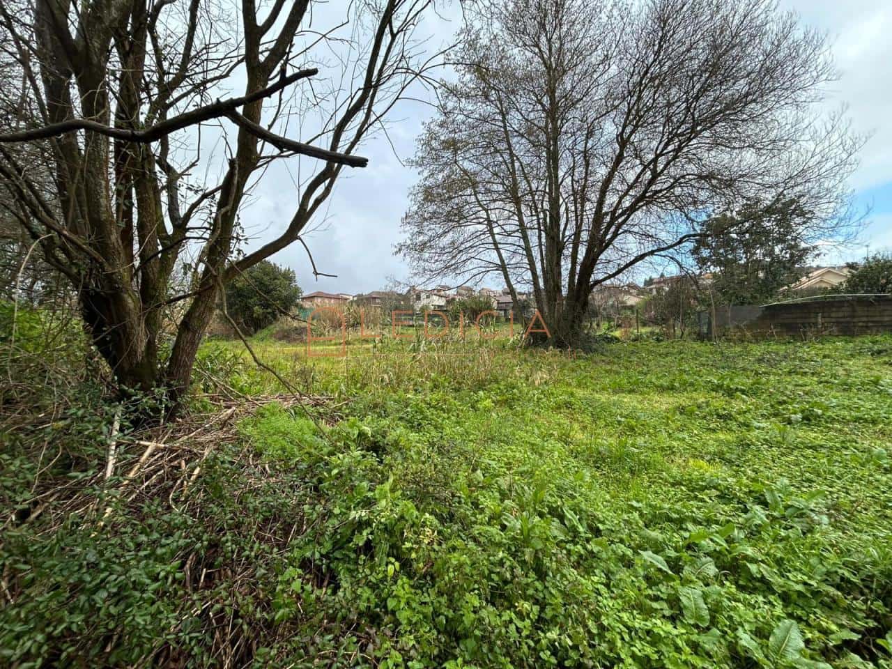 Terreno/Finca Rústica en Vigo en venta - 800.000 € (Ref: 9801376)