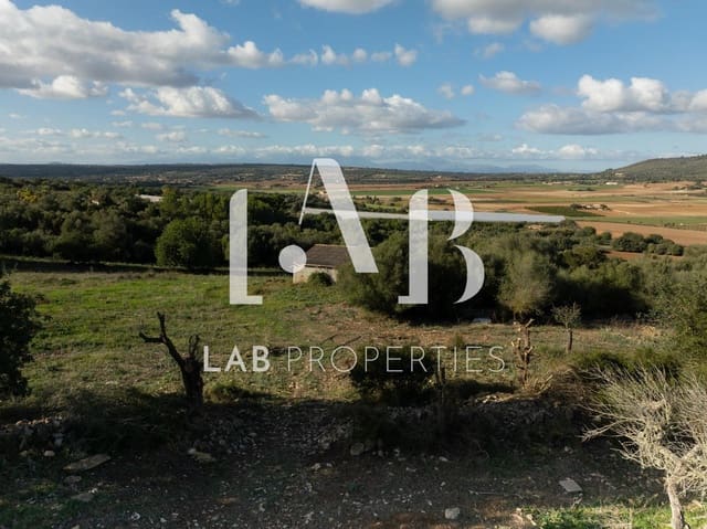 Undeveloped Land for sale in Manacor - € 450,000 (Ref: 8022891)