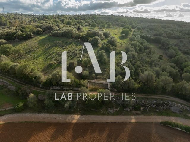 Undeveloped Land for sale in Manacor - € 450,000 (Ref: 8022891)