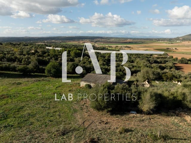 Undeveloped Land for sale in Manacor - € 450,000 (Ref: 8022891)
