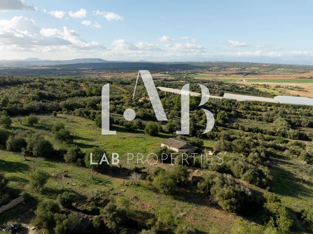 Undeveloped Land for sale in Manacor - € 450,000 (Ref: 8022891)