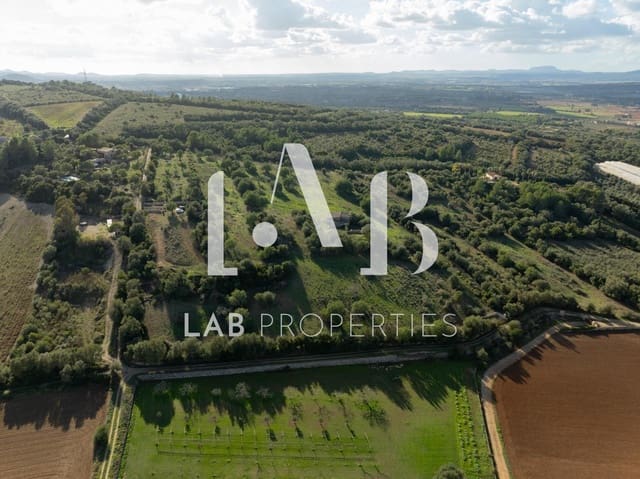 Undeveloped Land for sale in Manacor - € 450,000 (Ref: 8022891)