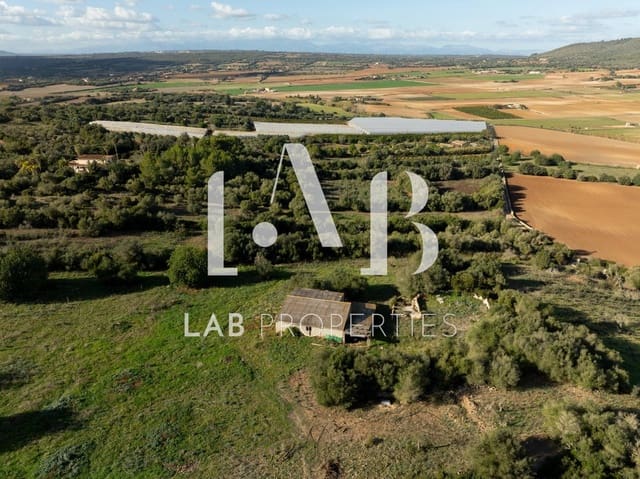 Undeveloped Land for sale in Manacor - € 450,000 (Ref: 8022891)