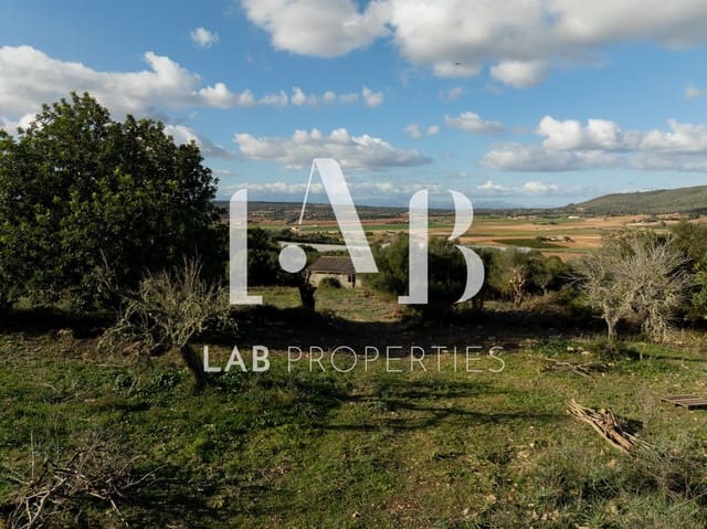 Undeveloped Land for sale in Manacor - € 450,000 (Ref: 8022891)