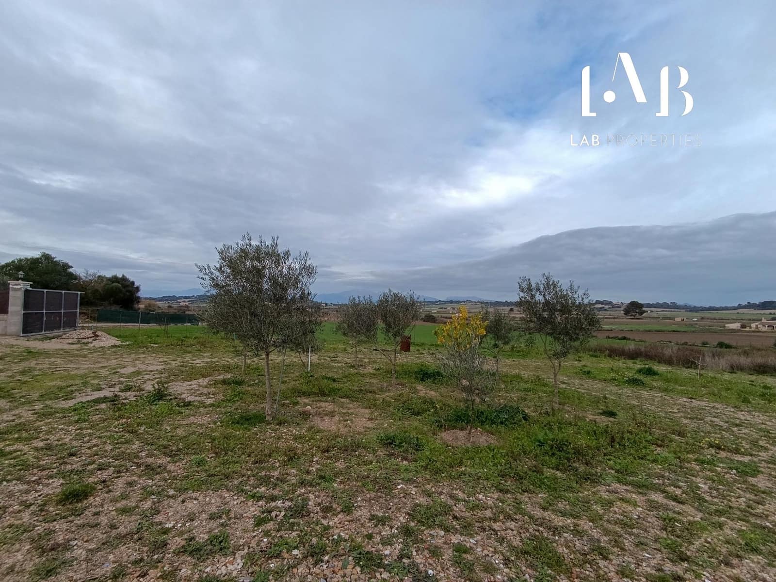 Grunde uden byggetilladelser til salg i Ca'n Picafort - € 65.000 (Ref: 8767260)