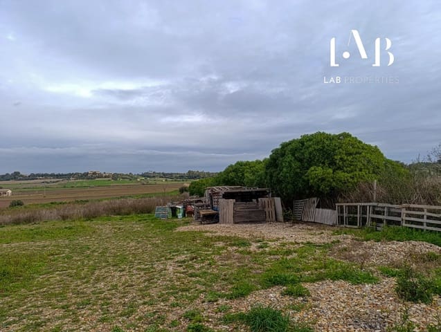 Mark till salu i Ca'n Picafort, Santa Margalida - 65 000 € (Ref: 8767260)