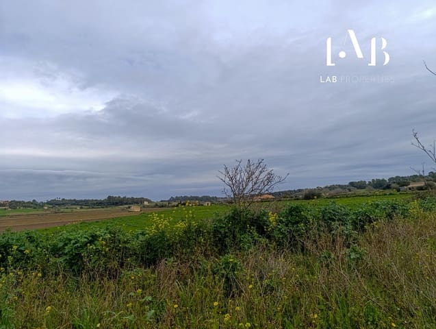 Mark till salu i Ca'n Picafort, Santa Margalida - 65 000 € (Ref: 8767260)