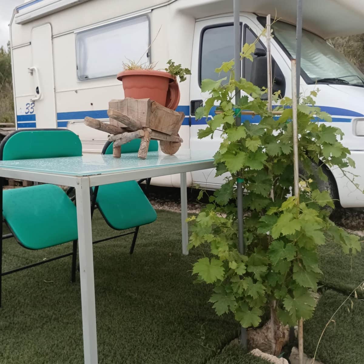 Grond te koop in Ca'n Picafort - € 65.000 (Ref: 8767260)