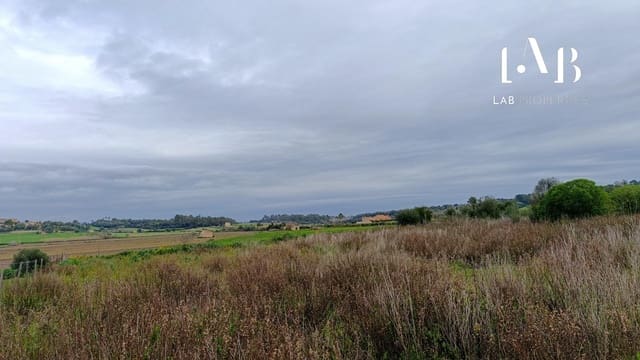 Terreno/Finca Rústica en Ca'n Picafort, Santa Margalida en venta - 65.000 € (Ref: 8767260)