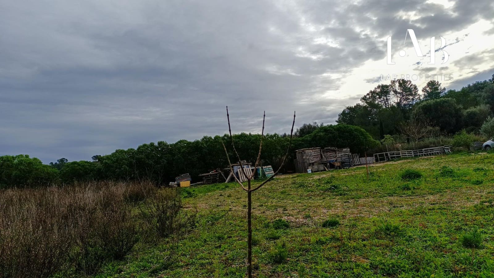 Teren niezagospodarowany na sprzedaż w Ca'n Picafort - 65 000 € (Ref: 8767260)