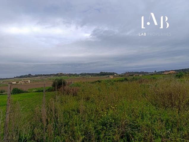 Terreno Non Edificato in vendita in Ca'n Picafort, Santa Margalida - 65.000 € (Rif: 8767260)