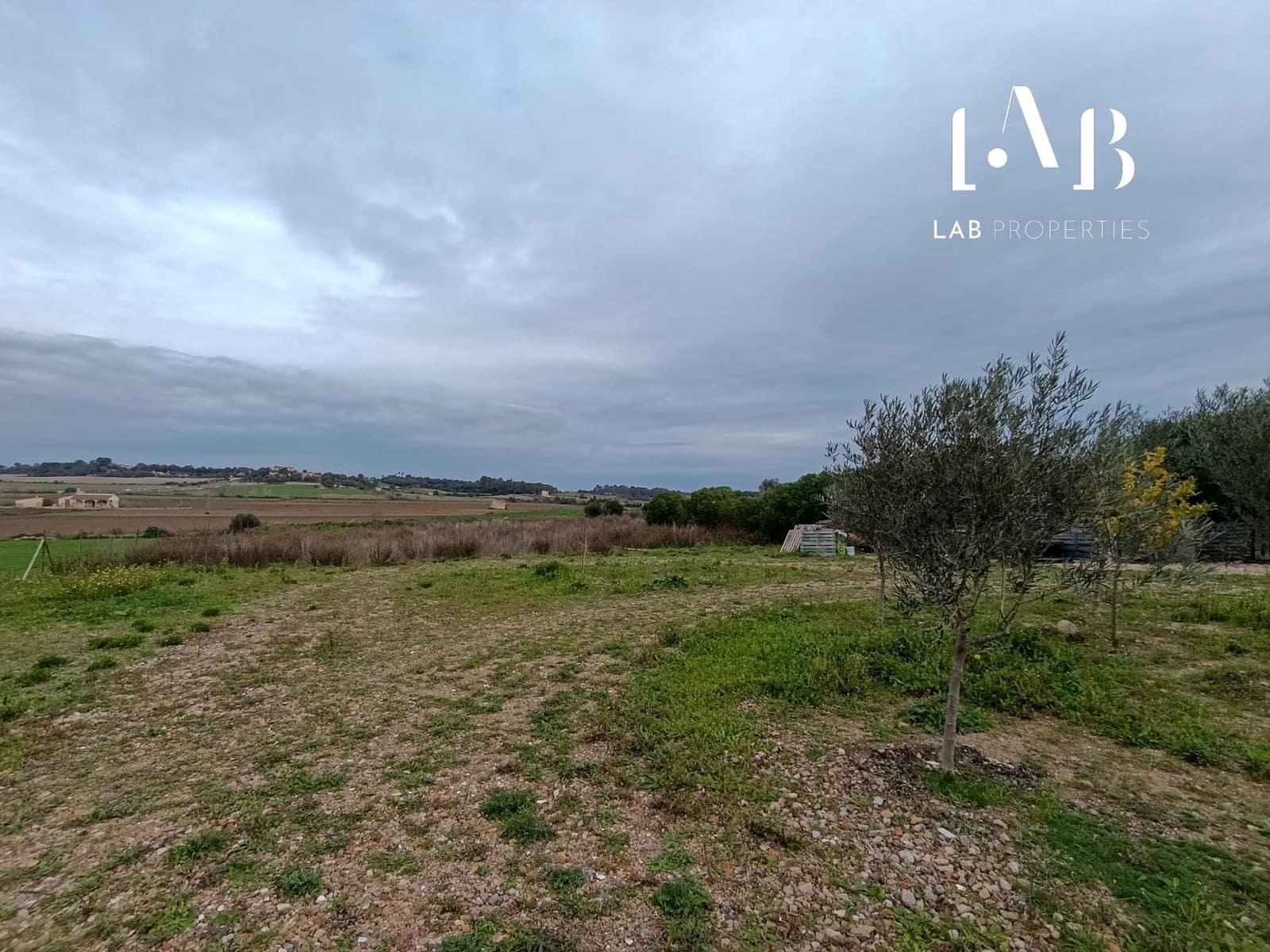 Terreno Non Edificato in vendita in Ca'n Picafort - 65.000 € (Rif: 8767260)