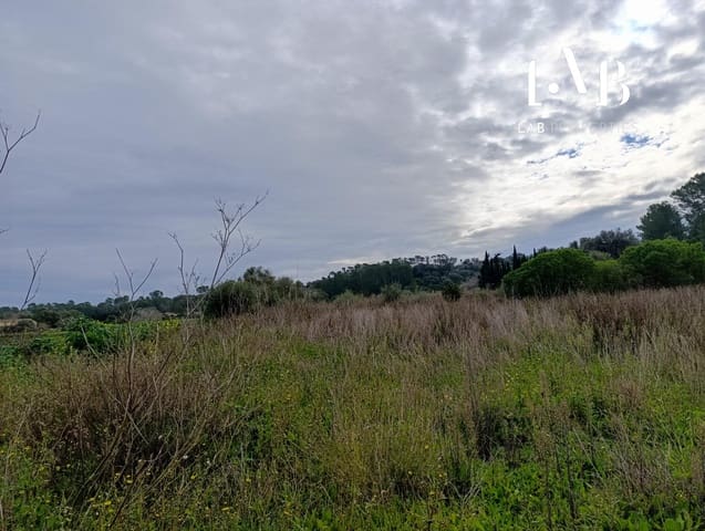Grunde uden byggetilladelser til salg i Ca'n Picafort, Santa Margalida - € 65.000 (Ref: 8767260)