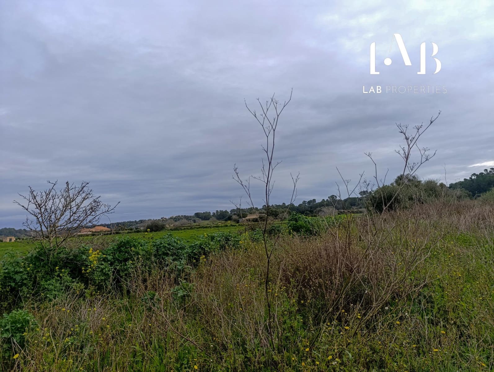 Mark till salu i Ca'n Picafort - 65 000 € (Ref: 8767260)