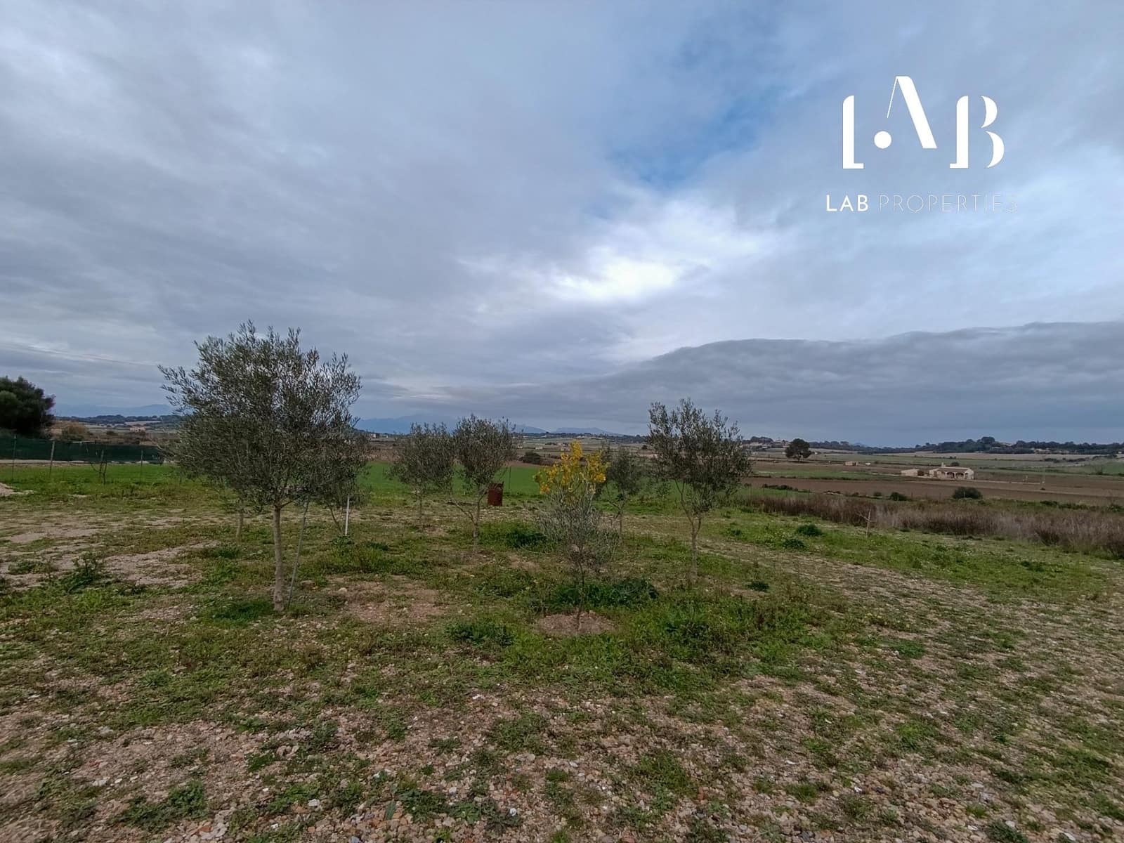 Mark till salu i Ca'n Picafort - 65 000 € (Ref: 8767260)