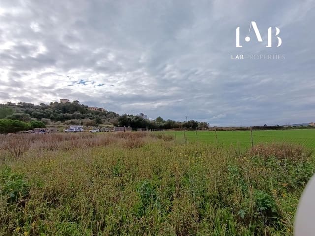 Terre non Aménagée à vendre à Ca'n Picafort, Santa Margalida - 65 000 € (Ref: 8767260)