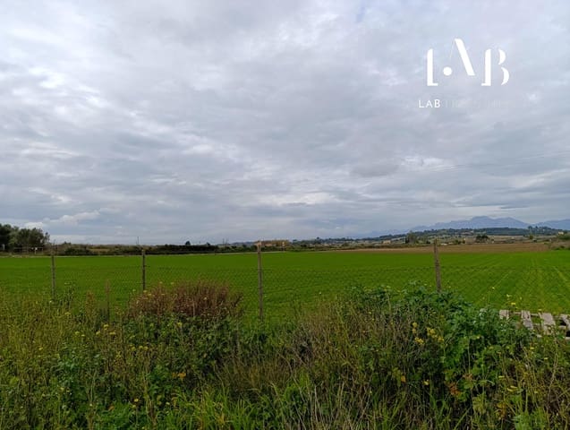 Terre non Aménagée à vendre à Ca'n Picafort, Santa Margalida - 65 000 € (Ref: 8767260)