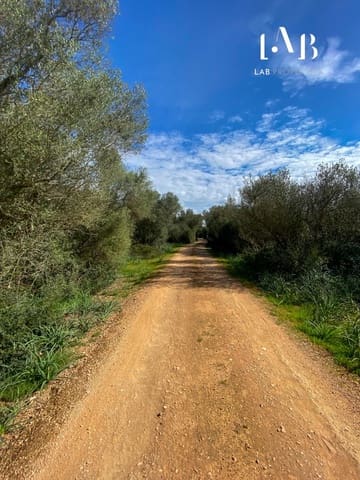 Solar/Parcela en Algaida en venta - 280.000 € (Ref: 8935130)