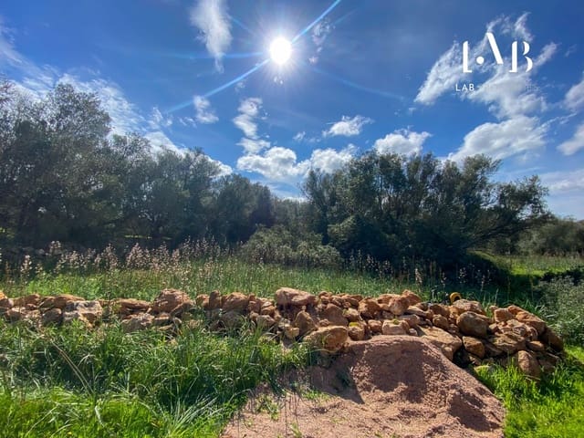 Bouwgrond te koop in Algaida - € 280.000 (Ref: 8935130)