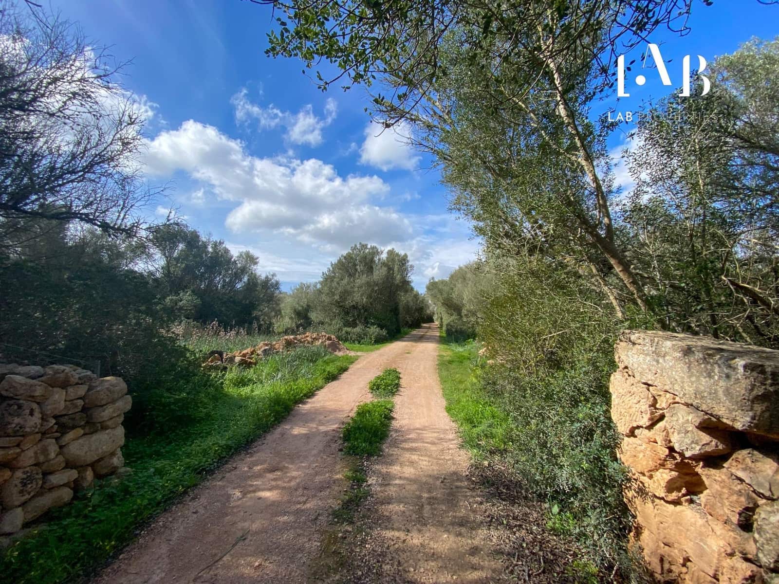 Terrain à Bâtir à vendre à Algaida - 280 000 € (Ref: 8935130)