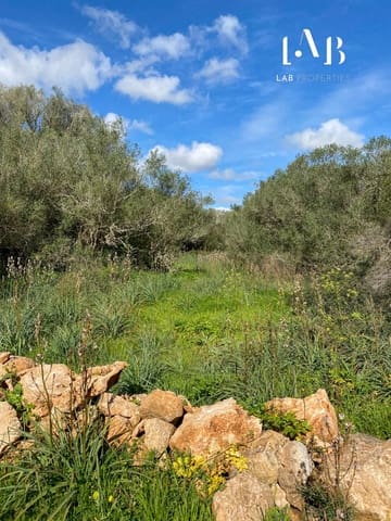 Terrain à Bâtir à vendre à Algaida - 280 000 € (Ref: 8935130)