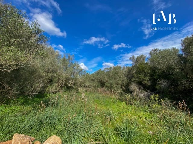 Terrain à Bâtir à vendre à Algaida - 280 000 € (Ref: 8935130)