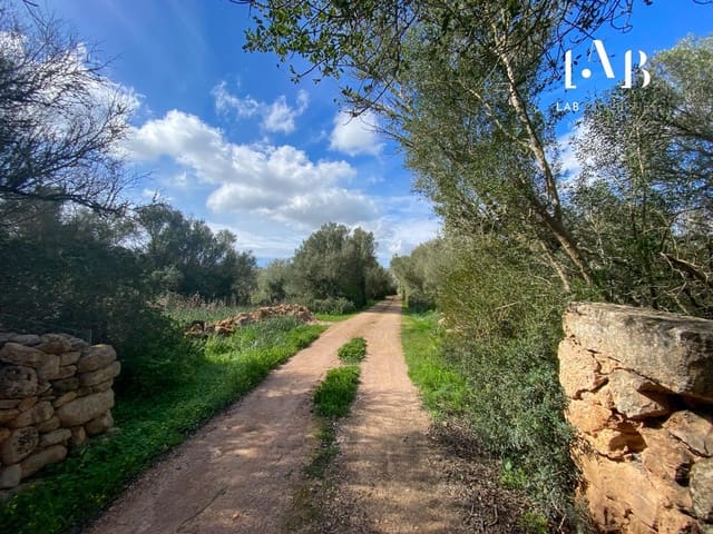 Solar/Parcela en Algaida en venta - 280.000 € (Ref: 8935130)