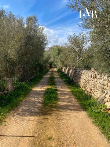 Building Plot for sale in Algaida - € 280,000 (Ref: 8935130)