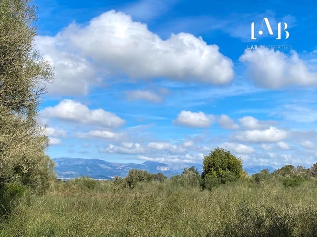 Building Plot for sale in Algaida - € 280,000 (Ref: 8935130)