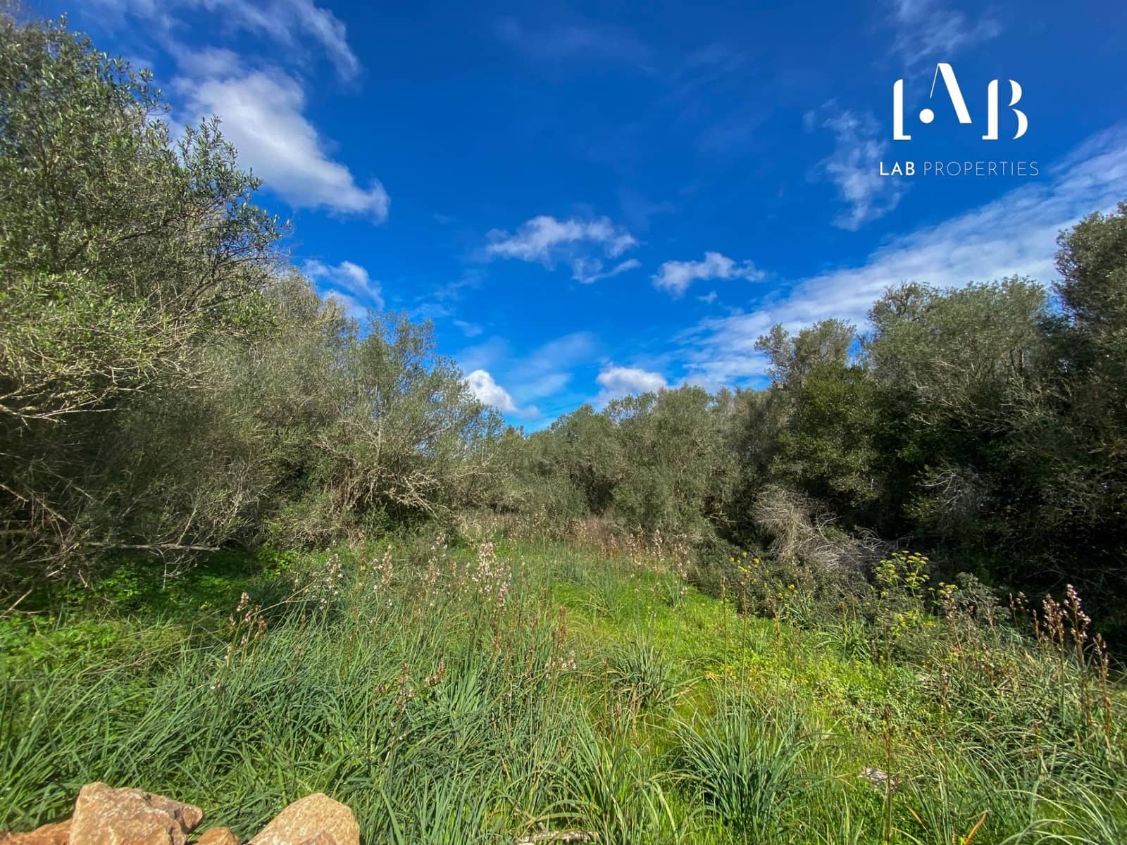 Building Plot for sale in Algaida - € 280,000 (Ref: 8935130)
