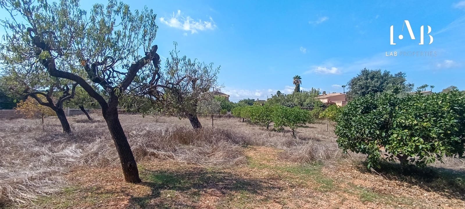 5 quarto Quinta/Casa Rural para venda em Santa Maria del Cami com garagem - 1 049 000 € (Ref: 9248172)