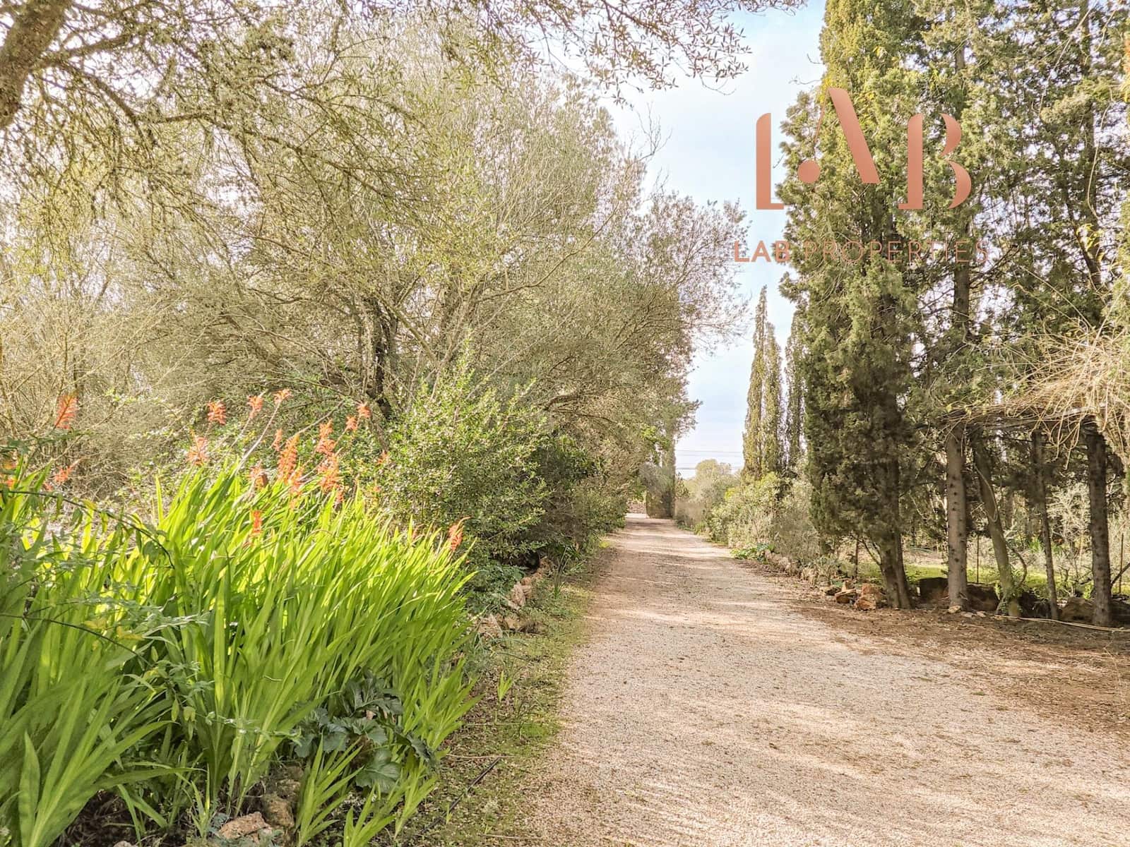 3 camera da letto Finca/Casa di Campagna in vendita in Algaida con piscina - 900.000 € (Rif: 9591235)