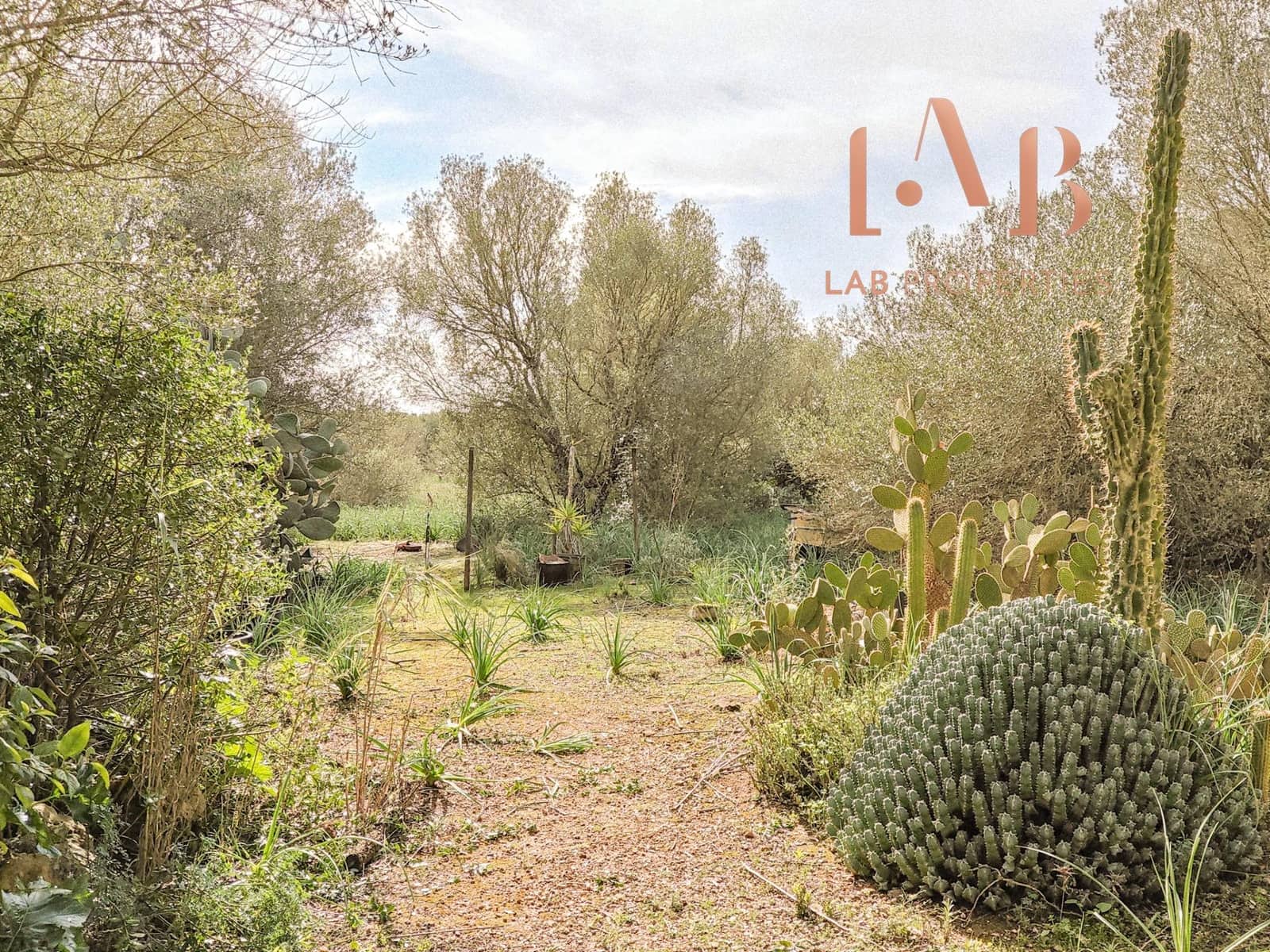 3 camera da letto Finca/Casa di Campagna in vendita in Algaida con piscina - 900.000 € (Rif: 9591235)