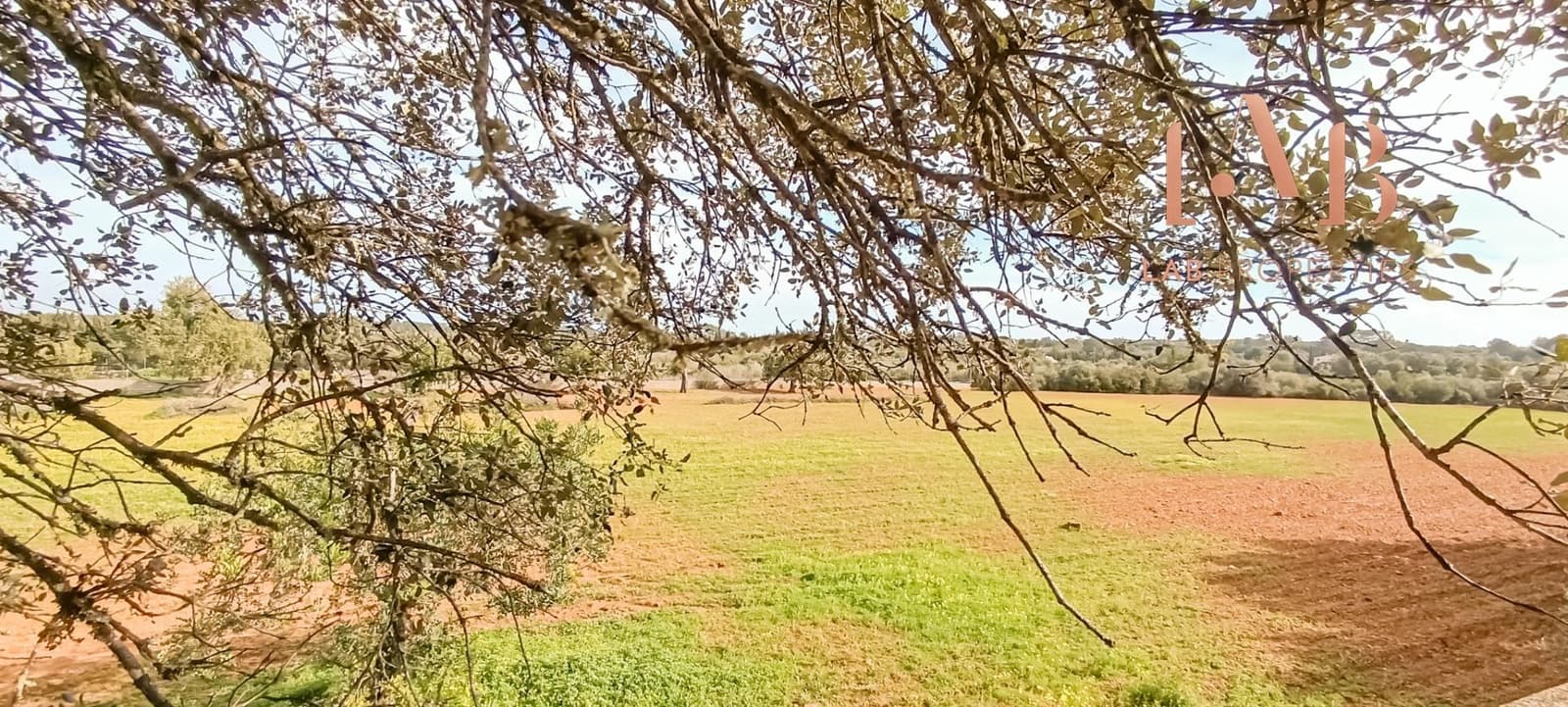 3 bedroom Finca/Country House for sale in Algaida with pool - € 900,000 (Ref: 9591235)