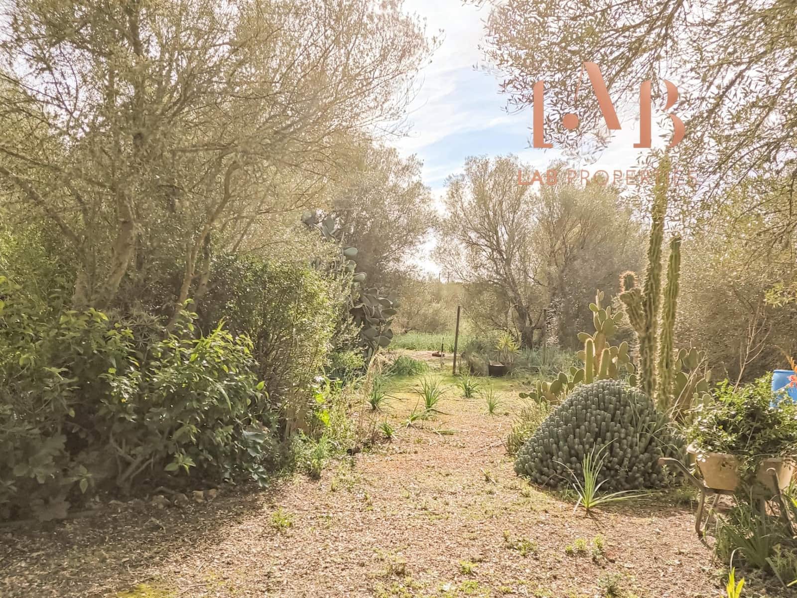 3 bedroom Finca/Country House for sale in Algaida with pool - € 900,000 (Ref: 9591235)