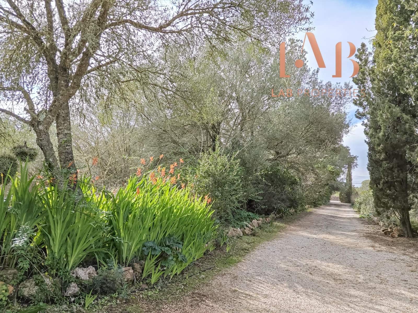 3 quarto Quinta/Casa Rural para venda em Algaida com piscina - 900 000 € (Ref: 9591235)