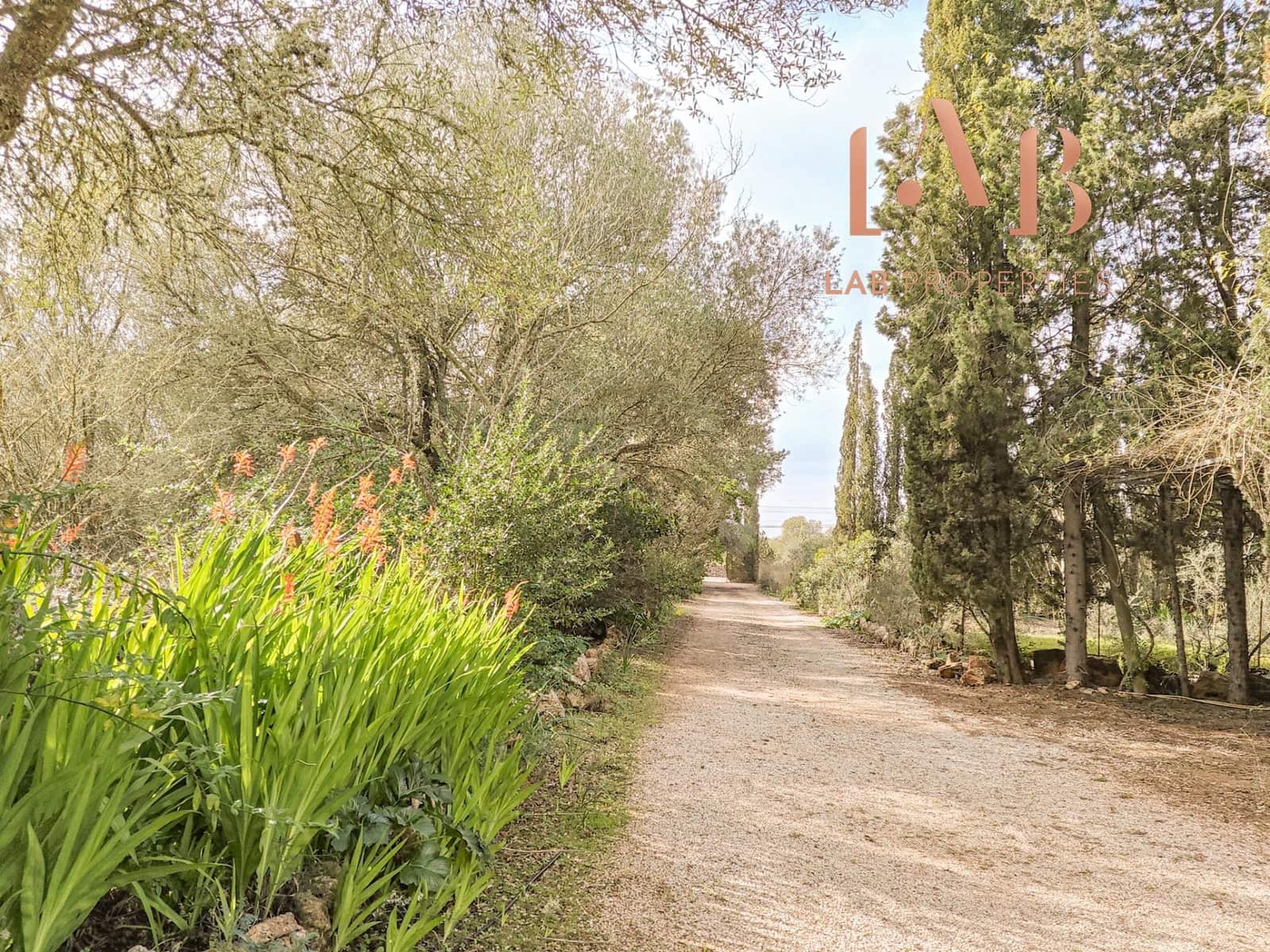 3 quarto Quinta/Casa Rural para venda em Algaida com piscina - 900 000 € (Ref: 9591235)