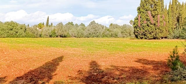 3 soverom Finca/Herregård til salgs i Algaida med svømmebasseng - € 850 000 (Ref: 9591235)