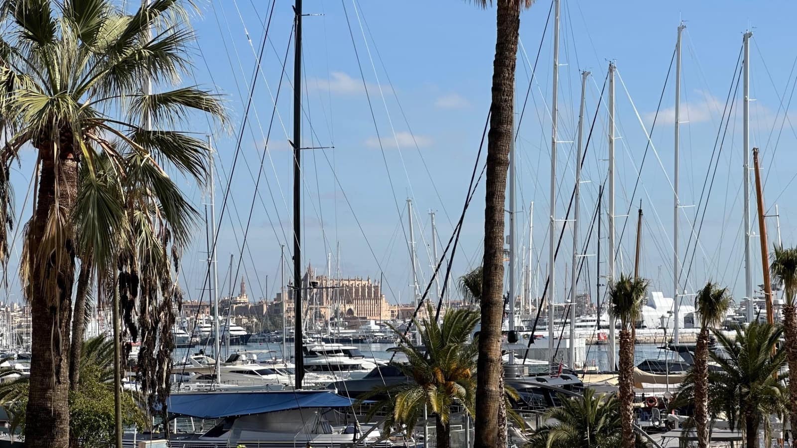 2 bedroom Apartment for sale in Palma de Mallorca with garage - € 775,000 (Ref: 8671948)