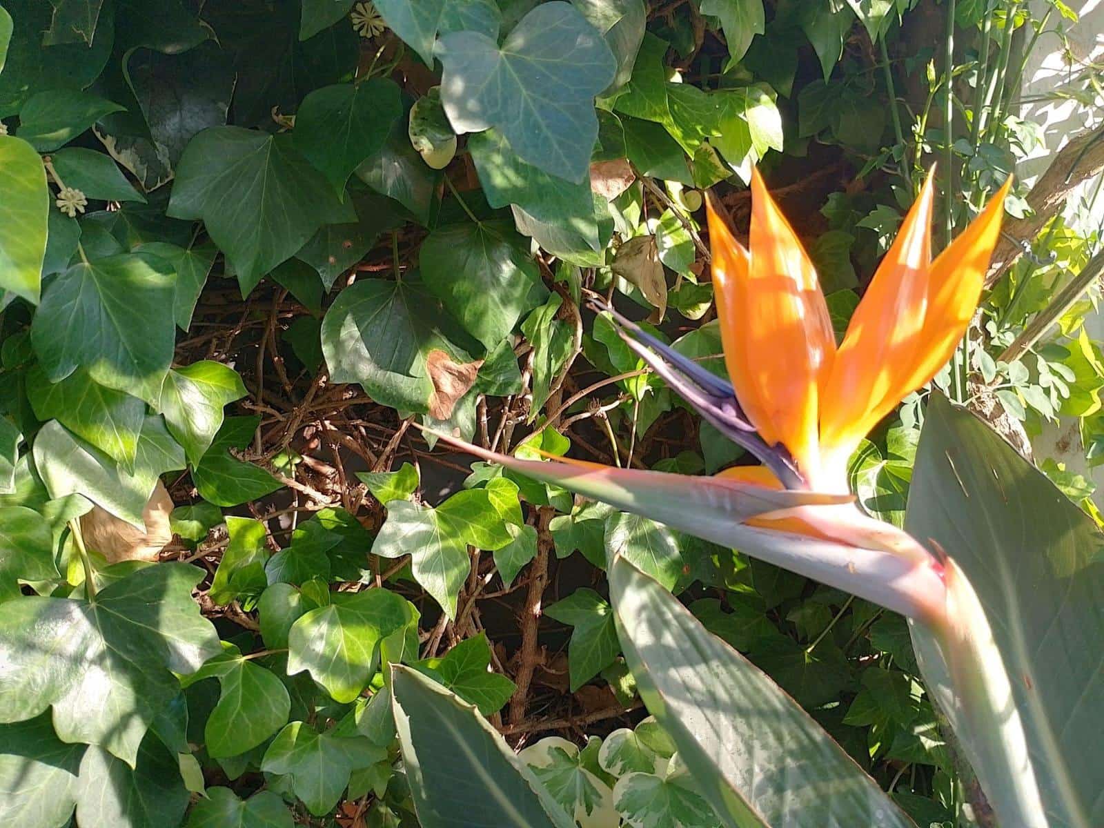 2 sovrum Villa för semesterbostäder i Almenara - 2 500 € (Ref: 9089809)