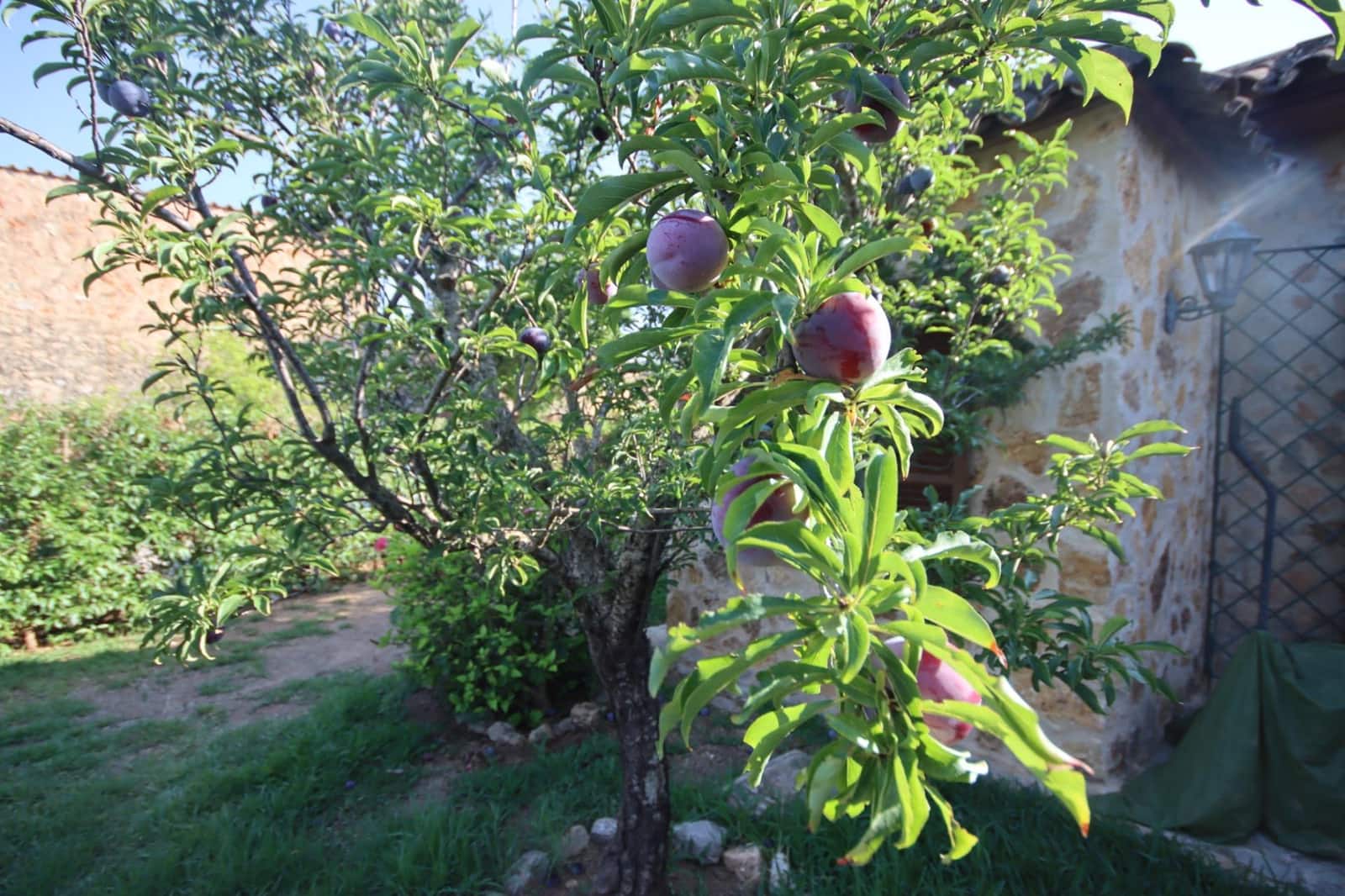 5 soveværelse Finca/Landehus til salg i Palma de Mallorca med swimmingpool - € 1.450.000 (Ref: 9147185)